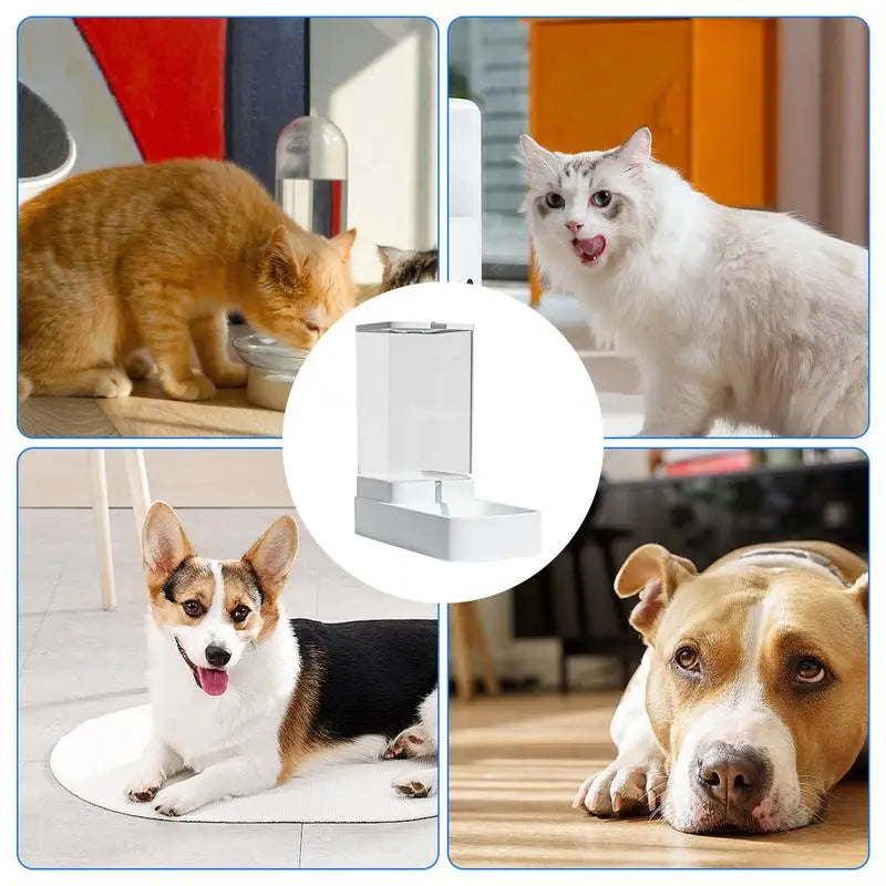  Automatic Auto Gravity Pet Feeder Bowl 